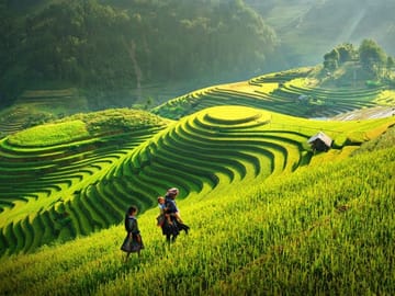 14-Day Trekking Adventure in Hà Giang and Hanoi