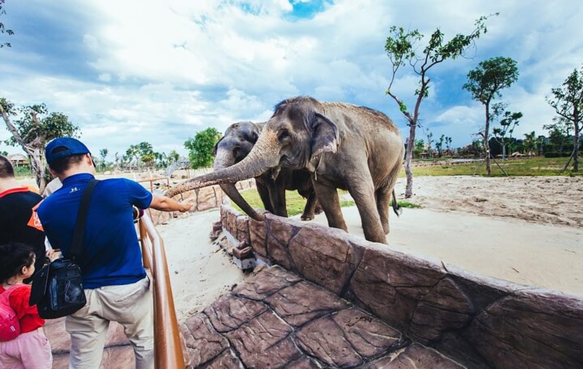 Da Nang: South Hoi An River Safari With Candle-lit Beach Dinner