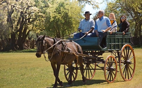 Private 5-Day Luxury Tour of Buenos Aires and Tigre Delta