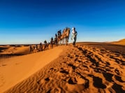 3 Days 2 nights trip starting from Fez ending in Marrakech via Sahara Desert (Merzouga) 1