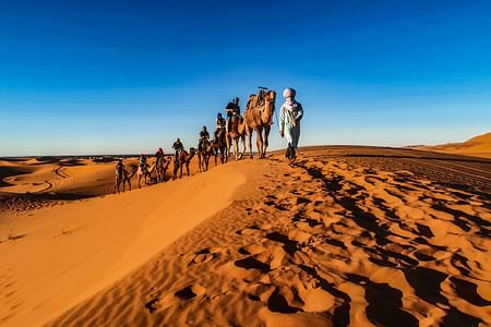 Adventure from Fez to Marrakech: Sahara Desert, Camel Rides & Kasbahs