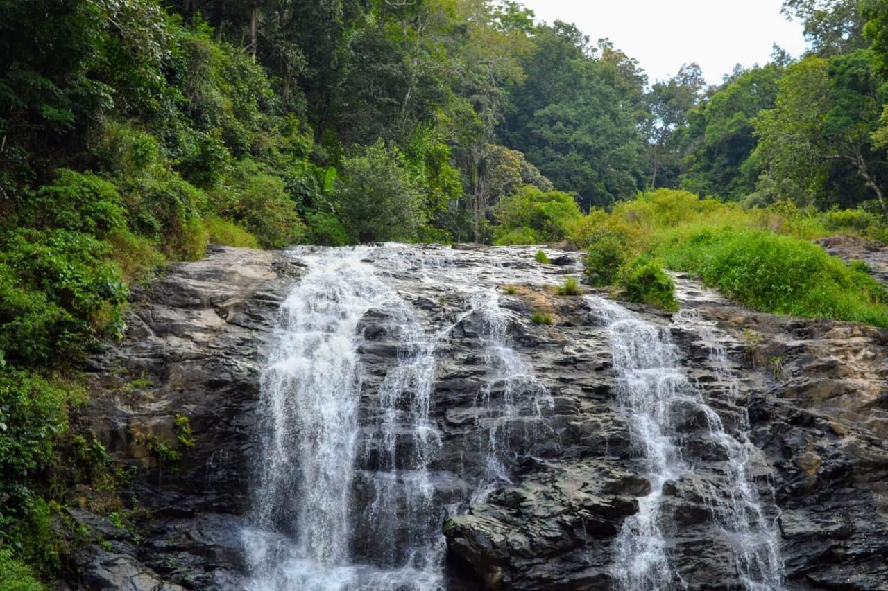 A Private Day Tour from Mysore to Coorg 2