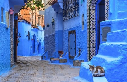 Private 6-Days Tour from Casablanca to Chefchaouen -Fes-Merzouga and Marrakech