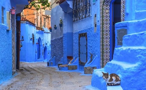 Private 6-Day Cultural Tour from Casablanca to Marrakech