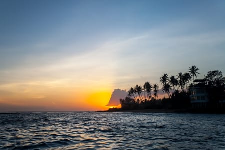 Boat Safari & Coral Reef Exploration in Hikkaduwa and Galle