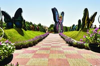Butterfly garden