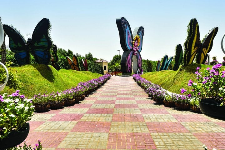 Butterfly garden