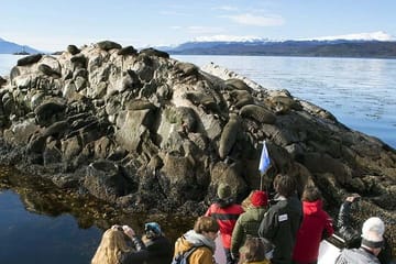 Beagle Channel Yacht Sailing Tour from Ushuaia