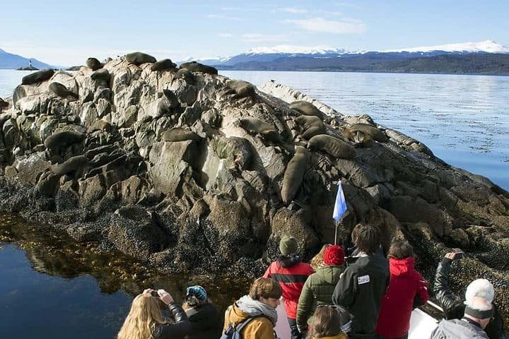 Beagle Channel Yacht Sailing Tour from Ushuaia 4