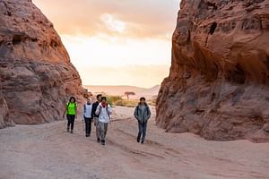 HIDDEN VALLEY ALULA