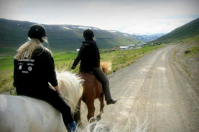 Horse Riding from Heydalur in Mjóifjörður