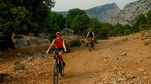 Electric bike tour in the Supramonte of Urzulei with aperitif