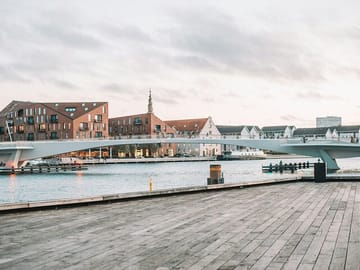 Private Walking Tour of Copenhagen's Nyhavn and Amalienborg Palace