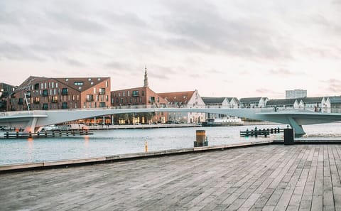 Private Walking Tour of Copenhagen's Nyhavn and Amalienborg Palace