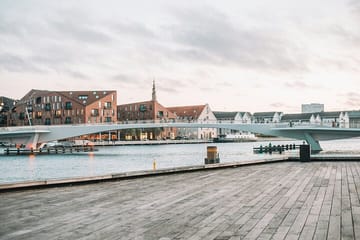 Private Walking Tour of Copenhagen's Nyhavn and Amalienborg Palace