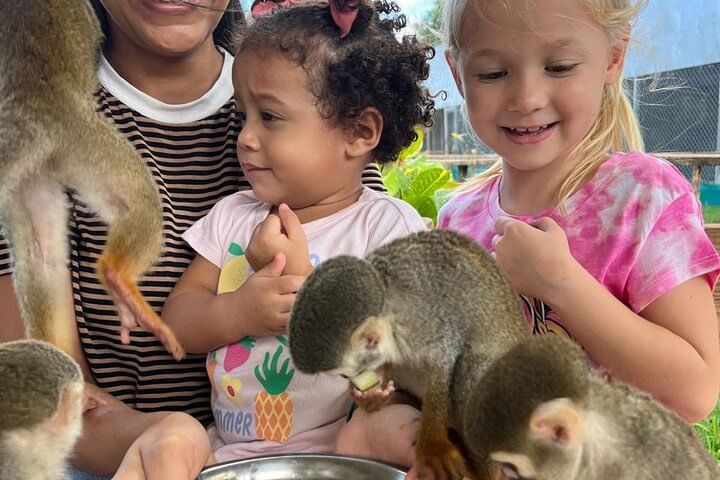 Damajagua Waterfalls and Monkey Private Van Tour