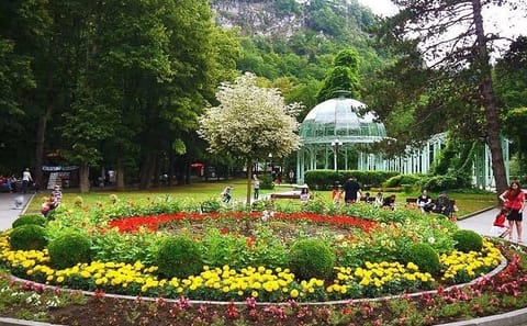 Cultural and Nature Tour of Vardzia and Borjomi, Georgia