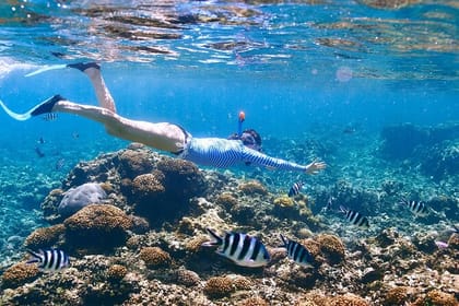 Snorkeling Adventure in Ras Mohammed National Park, Sharm El Sheikh
