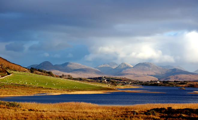 Connemara, Kylemore Abbey OR Connemara National Park Tour Departing from Galway City 9