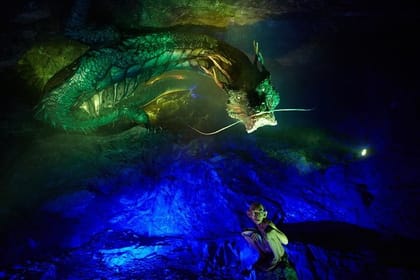 Private Full day Tour Anseong Farm Land with Gwangmyeong Cave