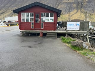 Whale Watching Ísafjörður , photo 7
