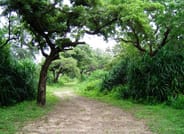 Eco & Adventure Tour 02 2
