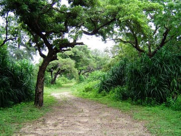 Eco-Friendly Adventure Tour in Colombo, Sri Lanka