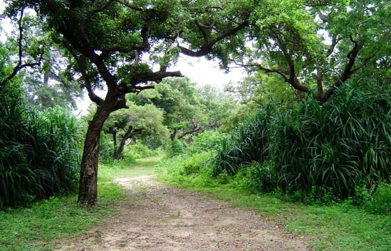 Eco & Adventure Tour 02