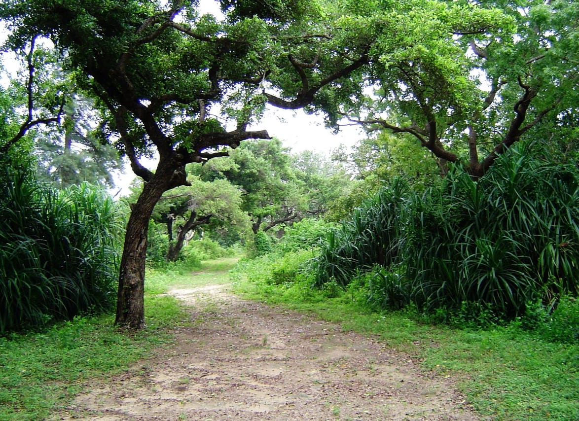 Eco & Adventure Tour 02 2
