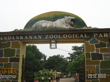 Step into the wild wonder at Nandankanan Zoological Park - where wildlife roams free!