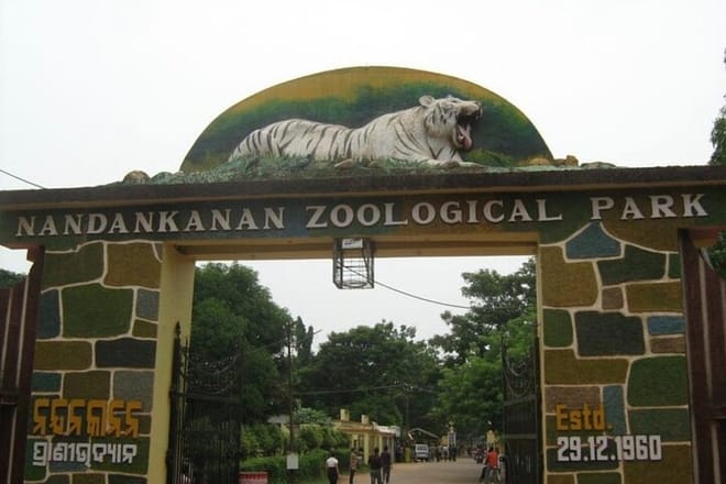 Bhubaneswar in a Day: Mystical Temples and Local Delights!