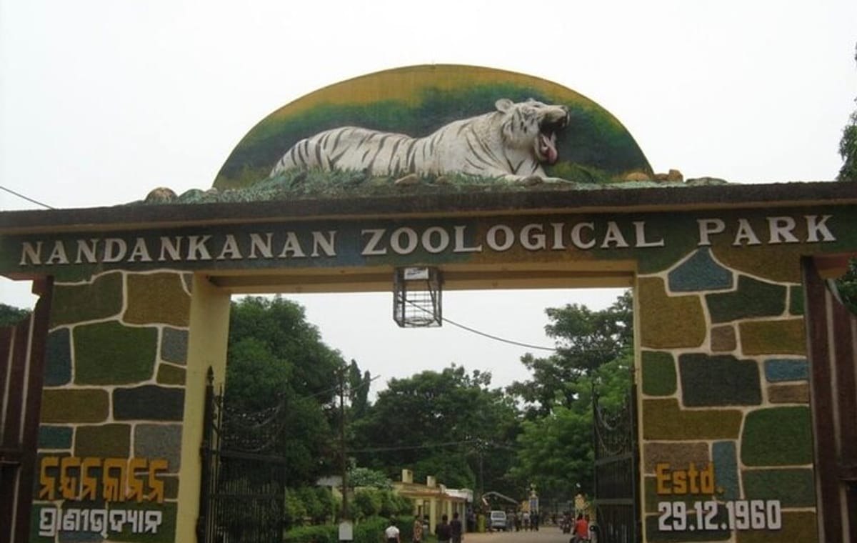 Bhubaneswar in a Day: Mystical Temples and Local Delights!