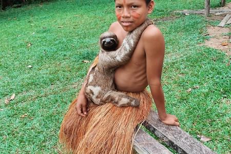 Iqu-01 : Amazon Safari - Full Day Jungle Expedition