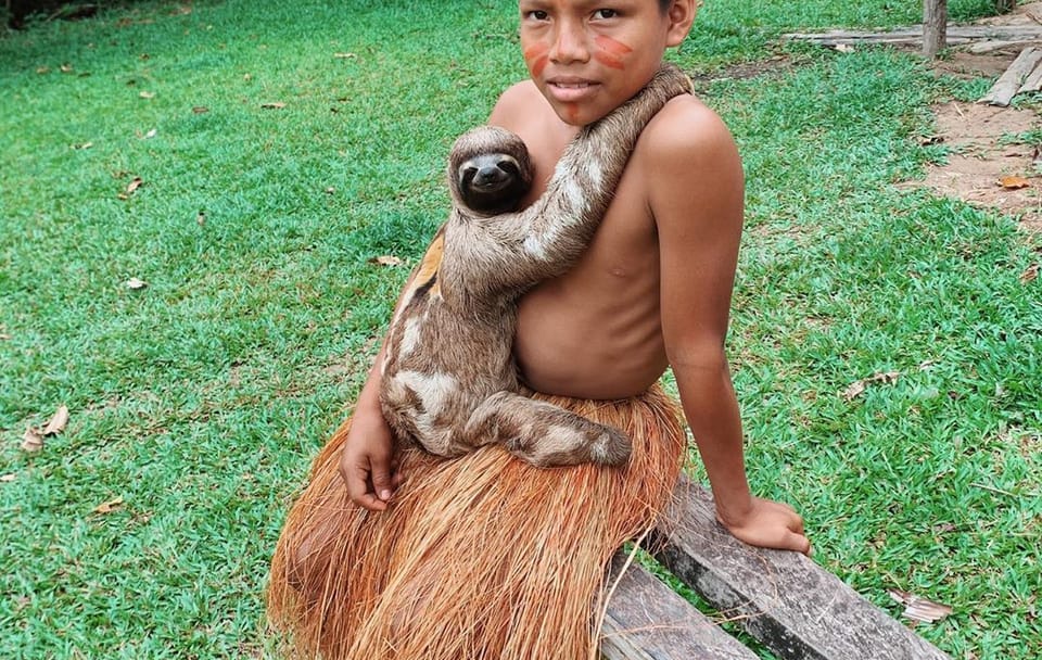 Full Day Amazon Jungle Expedition in Iquitos, Peru