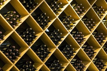 Private Wine Tasting Tour in Etyek with Danube Cruise from Budapest
