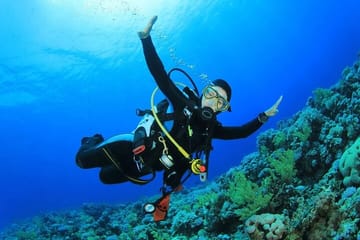 Beach Dive with Transfer – Sharm El Sheikh