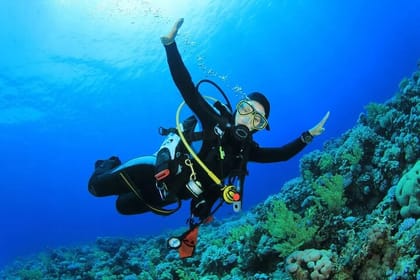 Beach Dive with Transfer – Sharm El Sheikh