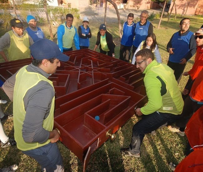 Team Building: Fighter's Course, Labyrinth & Mobile Bridge 5