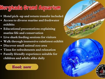 2-Hour Red Sea Marine Life Experience at Hurghada Grand Aquarium