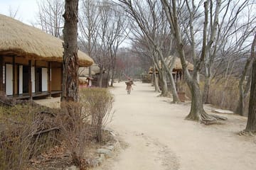 Suwon Hwaseong Fortress and Korean Folk Village Day Tour from Seoul