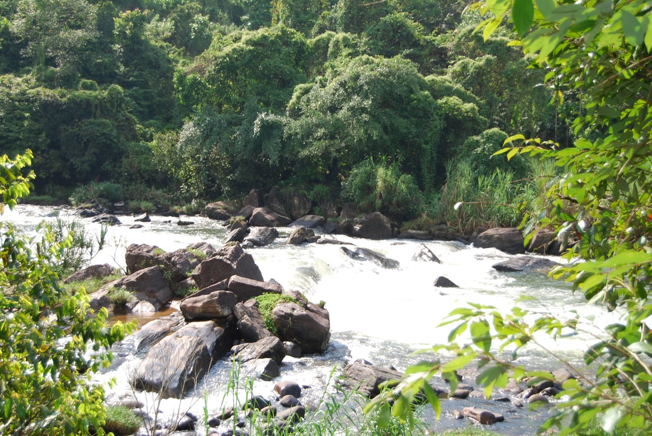 Kitulgala Water Rafting Tour from Colombo 5