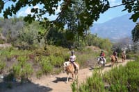 Alanya horse riding