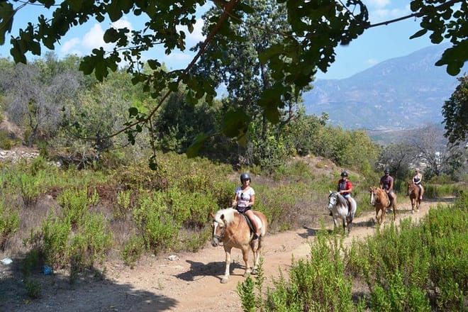 Alanya horse riding
