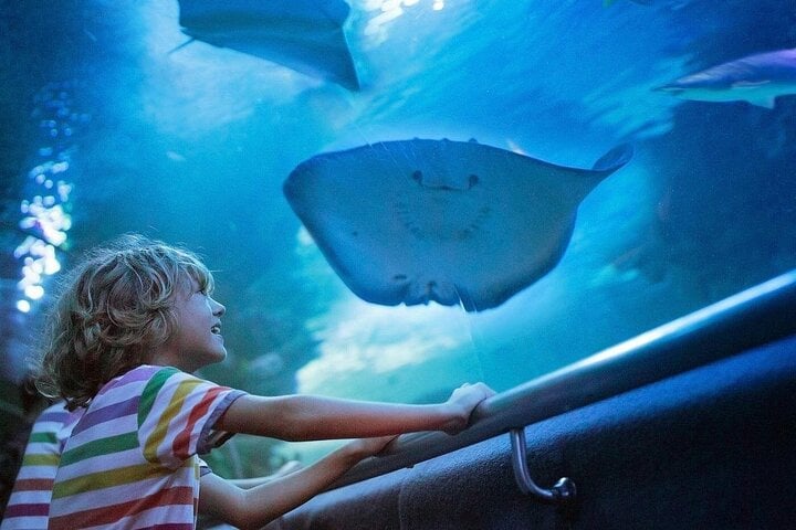 Kemer Private Antalya Aquarium Tour | All Inclusive 10