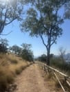 Palermo: Monte Pellegrino Hike, Sanctuary & Juice 5