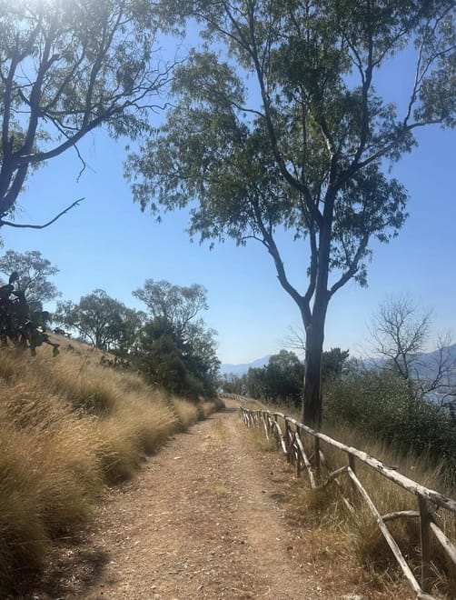 Palermo: Monte Pellegrino Hike, Sanctuary & Juice 5