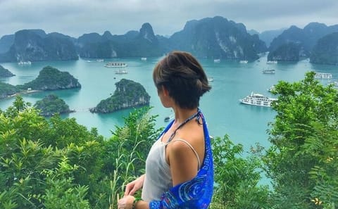 From Hanoi to Ninh Binh Tour and Ha Long Bay Cruise 2-Day Trip