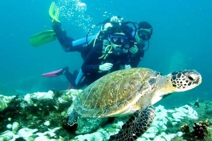 Diving (Baptism) 09:00 10
