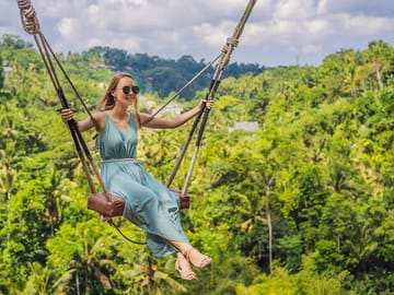 Jungle Swing
