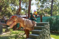 Goynuk Canyon and Dinopark Tour with Lunch Transfer From Antalya 7